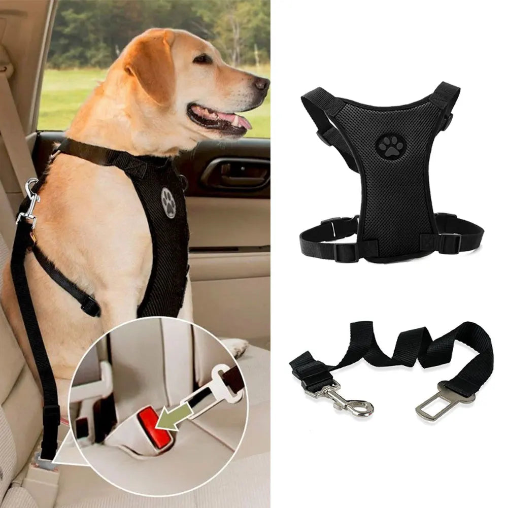 Breathable Mesh Dog Harness Leash With Adjustable Straps Pet Harness With Car